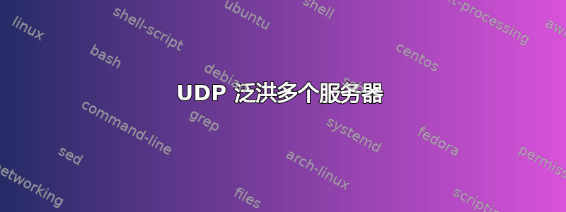 UDP 泛洪多个服务器