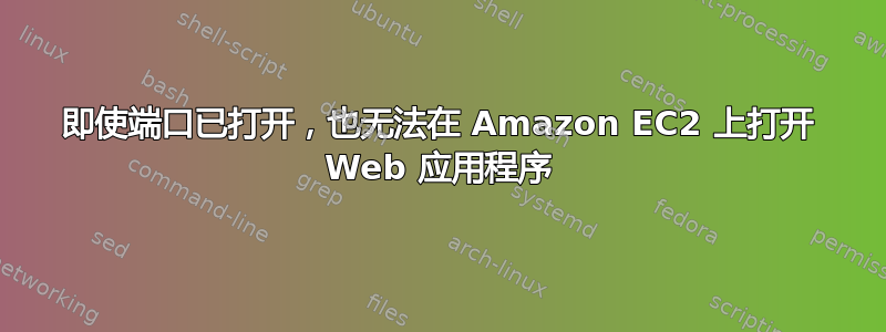 即使端口已打开，也无法在 Amazon EC2 上打开 Web 应用程序