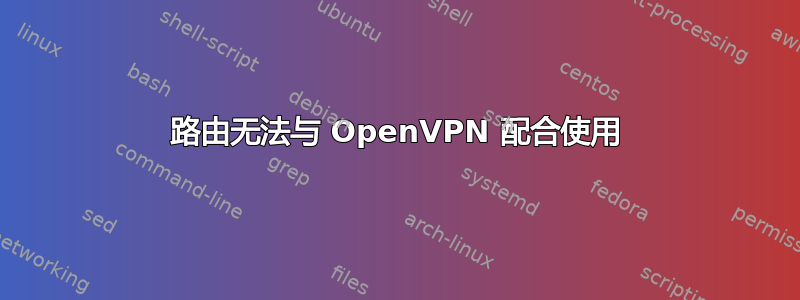 路由无法与 OpenVPN 配合使用