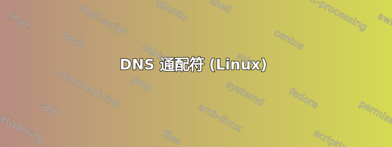 DNS 通配符 (Linux)