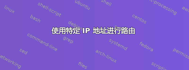 使用特定 IP 地址进行路由