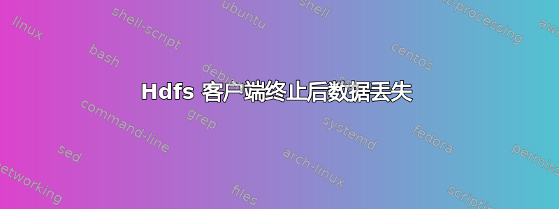 Hdfs 客户端终止后数据丢失