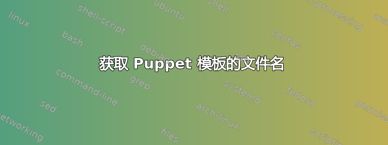 获取 Puppet 模板的文件名