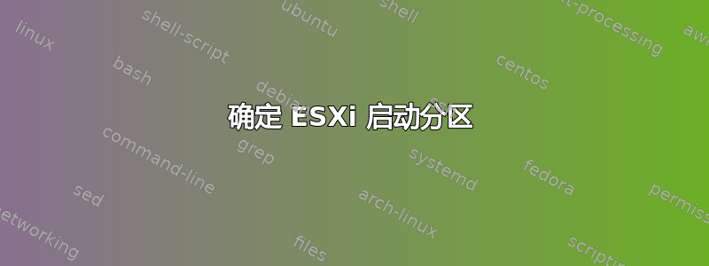 确定 ESXi 启动分区