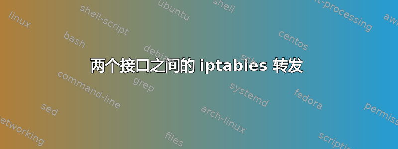 两个接口之间的 iptables 转发