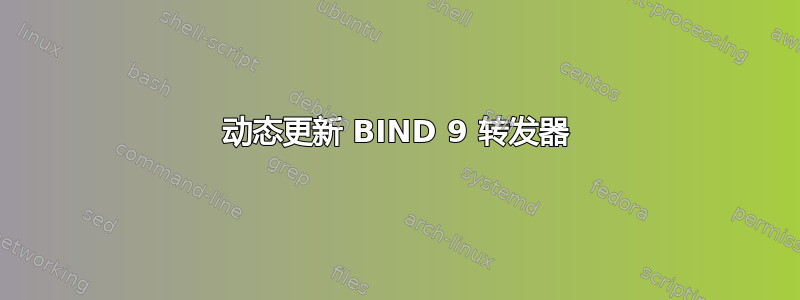 动态更新 BIND 9 转发器