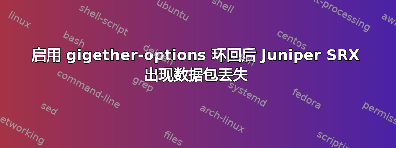 启用 gigether-options 环回后 Juniper SRX 出现数据包丢失