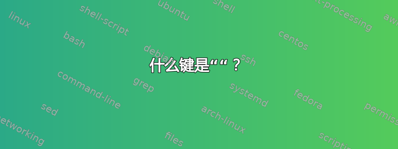 什么键是““？