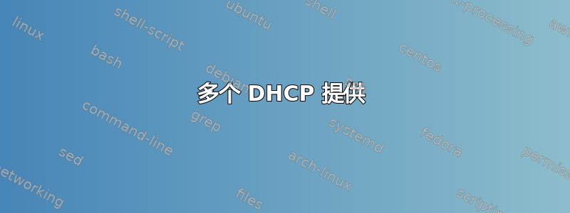 多个 DHCP 提供