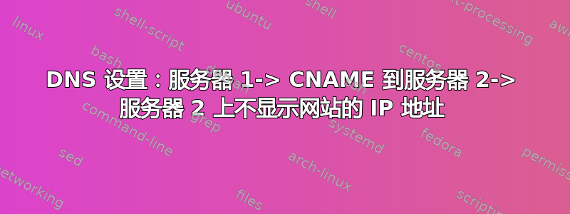 DNS 设置：服务器 1-> CNAME 到服务器 2-> 服务器 2 上不显示网站的 IP 地址