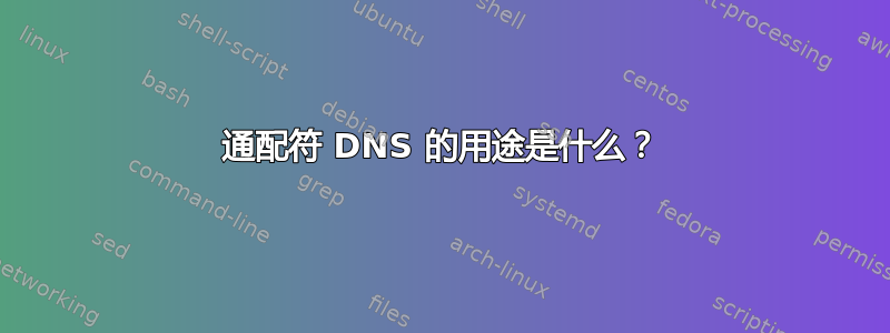 通配符 DNS 的用途是什么？