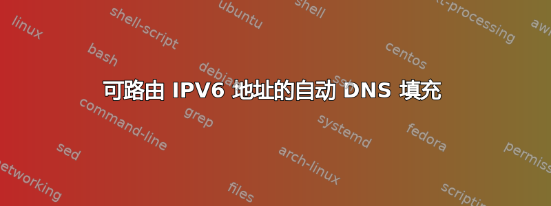 可路由 IPV6 地址的自动 DNS 填充