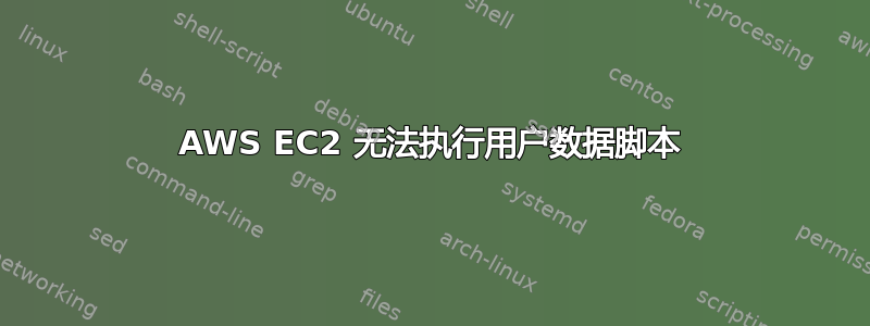 AWS EC2 无法执行用户数据脚本