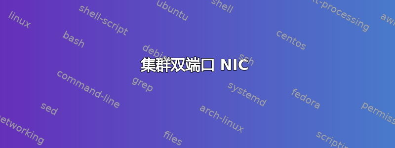 集群双端口 NIC