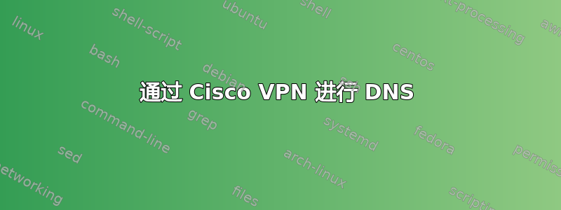 通过 Cisco VPN 进行 DNS