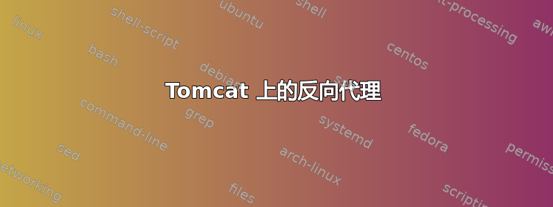 Tomcat 上的反向代理