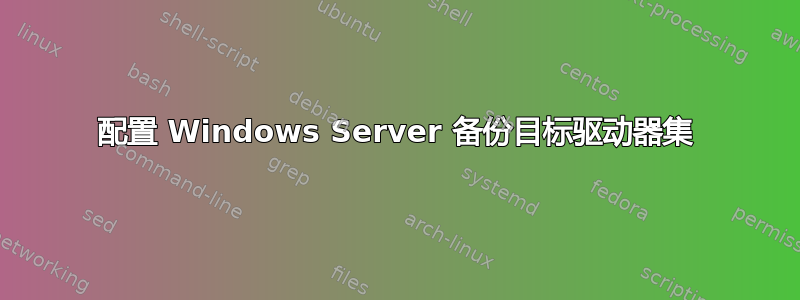 配置 Windows Server 备份目标驱动器集