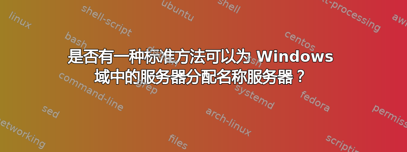 是否有一种标准方法可以为 Windows 域中的服务器分配名称服务器？