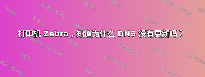 打印机 Zebra，知道为什么 DNS 没有更新吗？