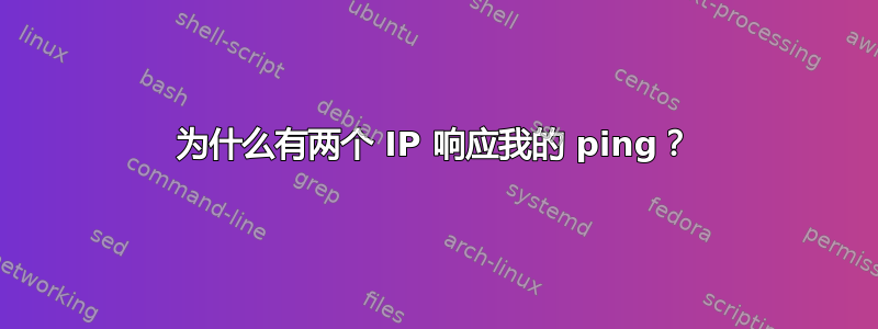 为什么有两个 IP 响应我的 ping？