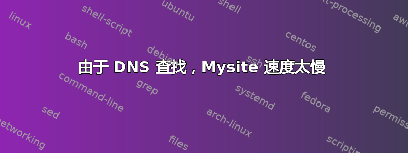 由于 DNS 查找，Mysite 速度太慢