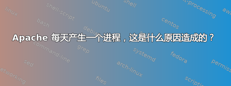 Apache 每天产生一个进程，这是什么原因造成的？