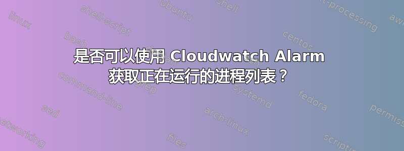 是否可以使用 Cloudwatch Alarm 获取正在运行的进程列表？