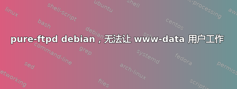 pure-ftpd debian，无法让 www-data 用户工作