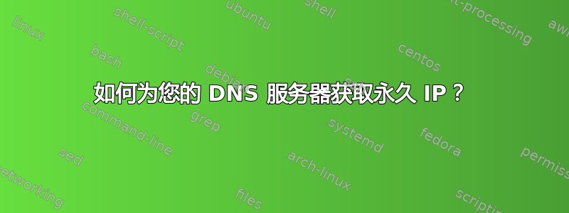 如何为您的 DNS 服务器获取永久 IP？