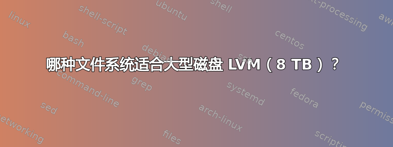 哪种文件系统适合大型磁盘 LVM（8 TB）？