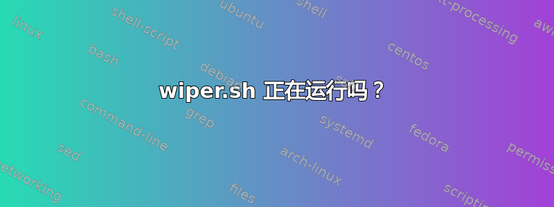 wiper.sh 正在运行吗？