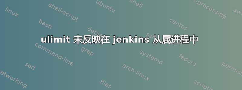 ulimit 未反映在 jenkins 从属进程中