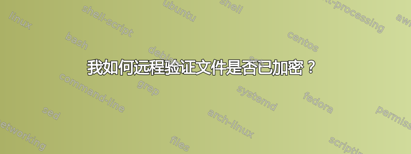 我如何远程验证文件是否已加密？