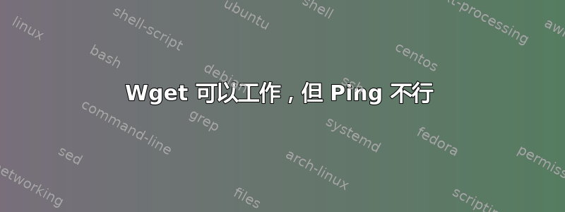 Wget 可以工作，但 Ping 不行