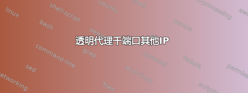 透明代理千端口其他IP