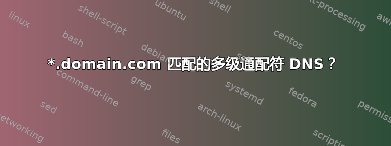 *.domain.com 匹配的多级通配符 DNS？