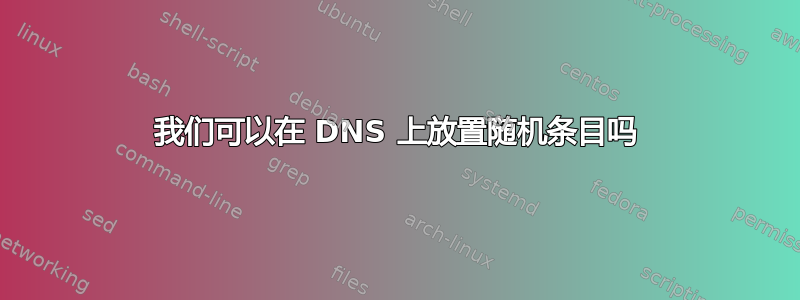 我们可以在 DNS 上放置随机条目吗