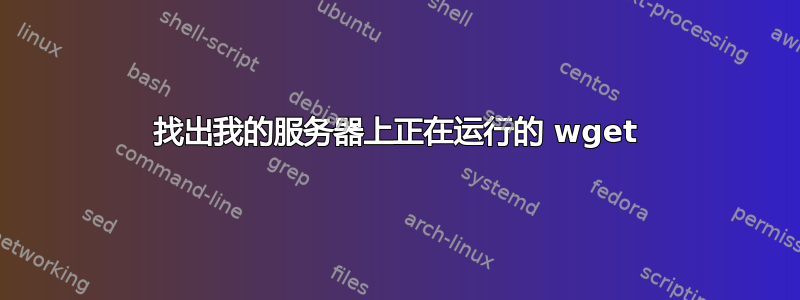 找出我的服务器上正在运行的 wget