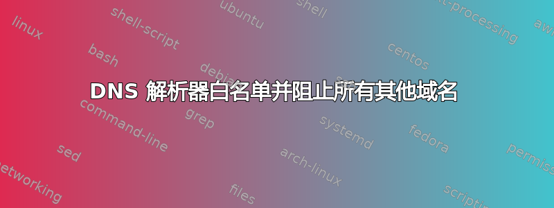 DNS 解析器白名单并阻止所有其他域名