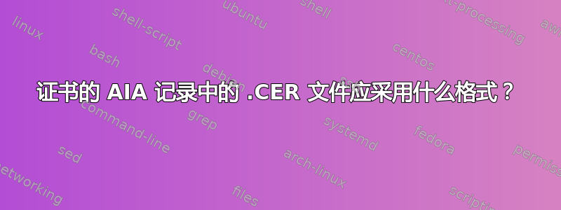 证书的 AIA 记录中的 .CER 文件应采用什么格式？