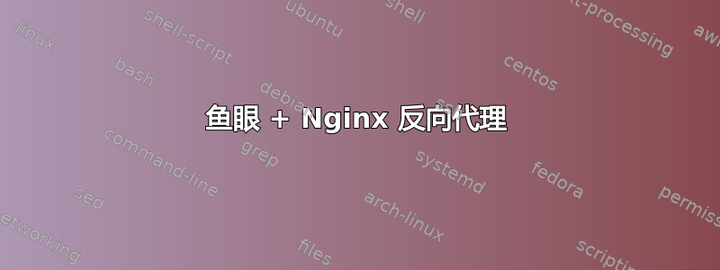 鱼眼 + Nginx 反向代理