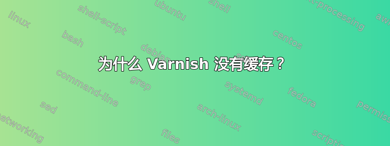 为什么 Varnish 没有缓存？