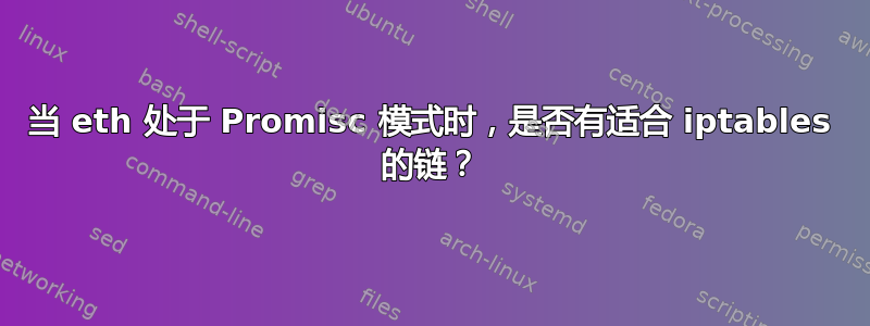 当 eth 处于 Promisc 模式时，是否有适合 iptables 的链？