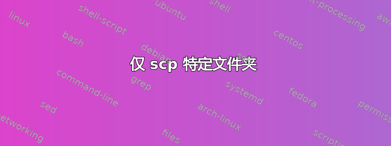 仅 scp 特定文件夹