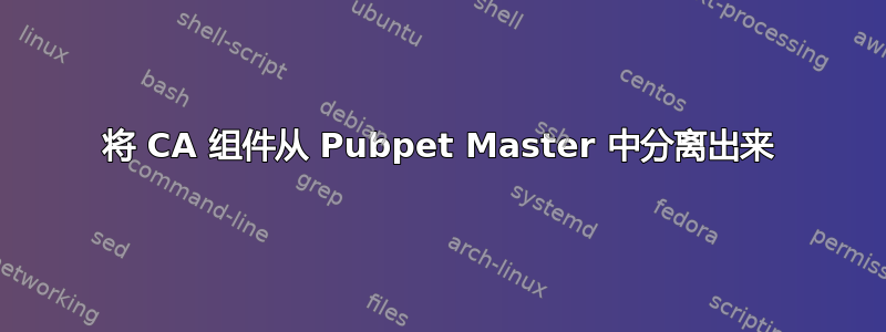 将 CA 组件从 Pubpet Master 中分离出来