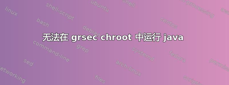 无法在 grsec chroot 中运行 java