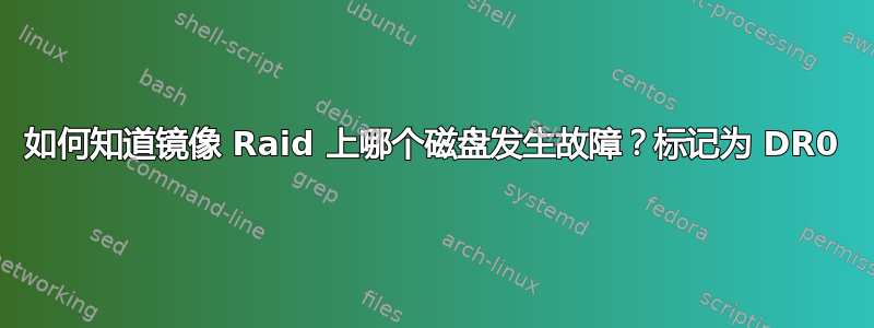 如何知道镜像 Raid 上哪个磁盘发生故障？标记为 DR0