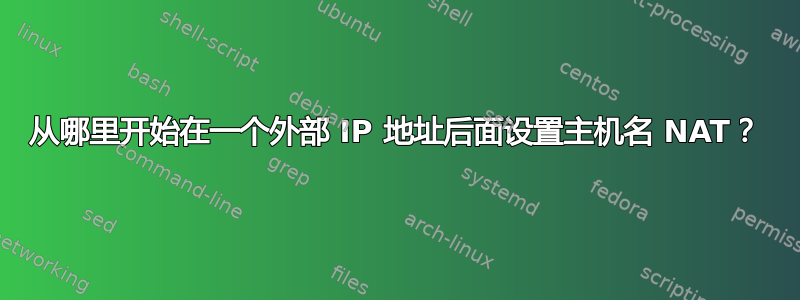 从哪里开始在一个外部 IP 地址后面设置主机名 NAT？