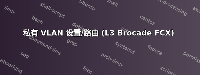 私有 VLAN 设置/路由 (L3 Brocade FCX)