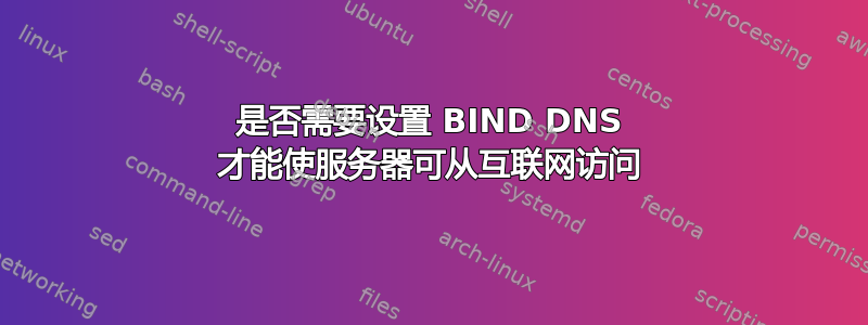 是否需要设置 BIND DNS 才能使服务器可从互联网访问